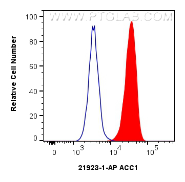 FC experiment of HeLa using 21923-1-AP