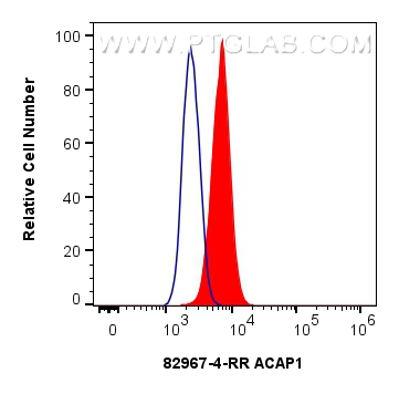 FC experiment of A431 using 82967-4-RR (same clone as 82967-4-PBS)