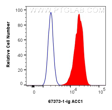 FC experiment of HeLa using 67373-1-Ig (same clone as 67373-1-PBS)
