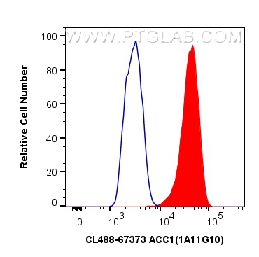 FC experiment of HeLa using CL488-67373
