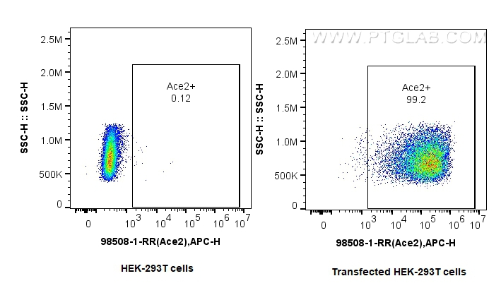 FC experiment of Transfected HEK-293T using 98508-1-RR