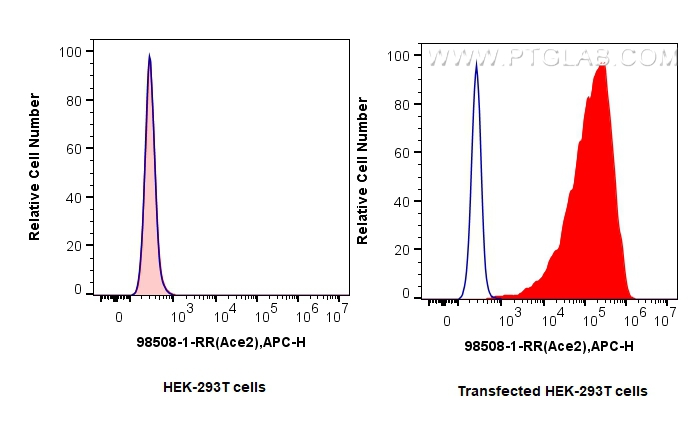 FC experiment of Transfected HEK-293T using 98508-1-RR