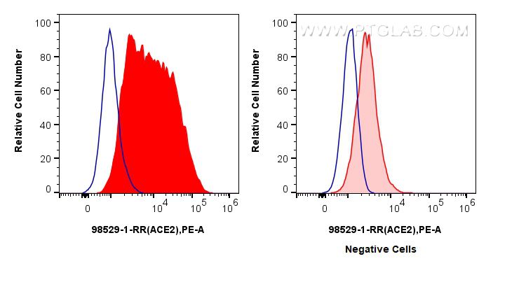 FC experiment of Calu-3 using 98529-1-RR (same clone as 98529-1-PBS)