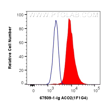 FC experiment of HeLa using 67509-1-Ig (same clone as 67509-1-PBS)