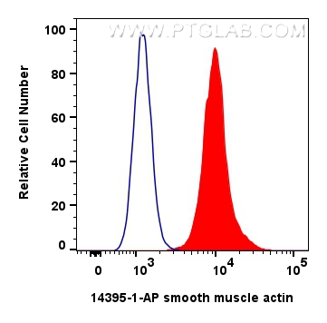 FC experiment of C2C12 using 14395-1-AP