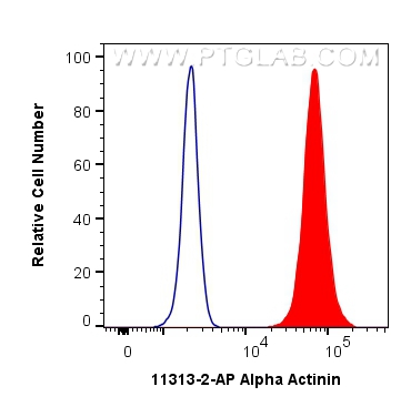 FC experiment of A431 using 11313-2-AP