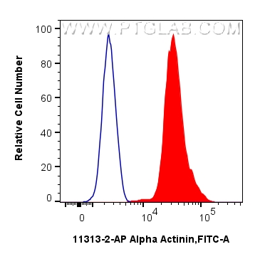 FC experiment of A431 using 11313-2-AP FC experiment of A431 using 11313-2-AP