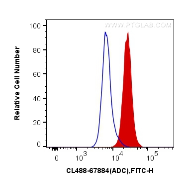 FC experiment of A431 using CL488-67884