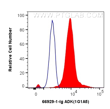 FC experiment of NIH/3T3 using 66929-1-Ig