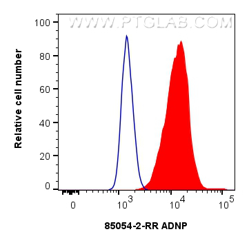 FC experiment of HeLa using 85054-2-RR (same clone as 85054-2-PBS)