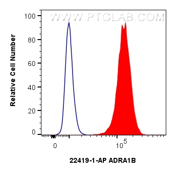 FC experiment of PC-3 using 22419-1-AP