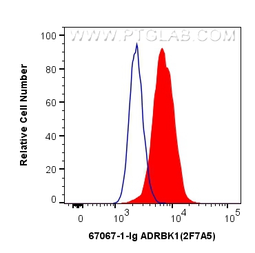 FC experiment of HeLa using 67067-1-Ig