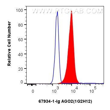 FC experiment of HeLa using 67934-1-Ig
