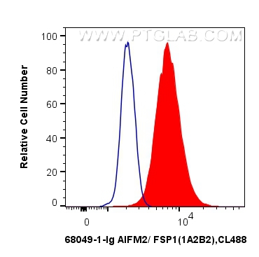 FC experiment of K-562 using 68049-1-Ig