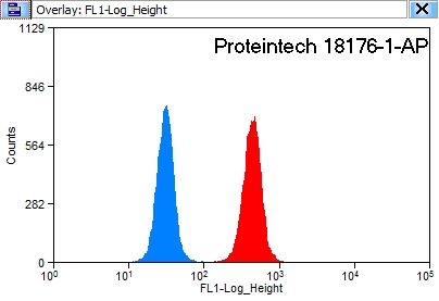 FC experiment of HeLa using 18176-1-AP