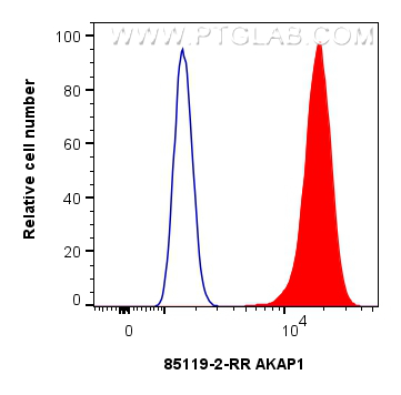 FC experiment of HEK-293T using 85119-2-RR (same clone as 85119-2-PBS)