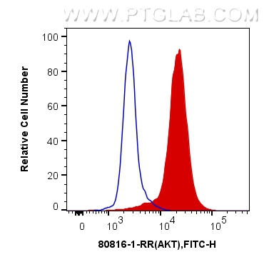 FC experiment of Jurkat using 80816-1-RR