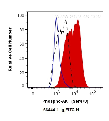 FC experiment of PC-3 using 66444-1-Ig