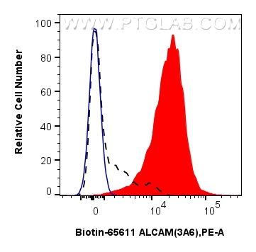 1x10^6 PHA-treated human PBMCs were surface stained with 0.25 ug Biotin Anti-Human ALCAM (3A6) Mouse IgG2a RecAb (Biotin-65611, Clone: 3A6) (red) or unstained (blue), and Streptavidin-PE Conjugate (<a class='green' href='/productredirect?CatalogNo=PE-PF00030' target='_blank'>PE-PF00030</a>). 1x10^6 untreated human PBMCs were surface stained with 0.25 ug Biotin Anti-Human ALCAM (3A6) Mouse IgG2a RecAb (Biotin-65611, Clone:3A6) and Streptavidin-PE Conjugate (<a class='green' href='/productredirect?CatalogNo=PE-PF00030' target='_blank'>PE-PF00030</a>) (black, dashed). Cells were not fixed. FC experiment of human PBMCs using Biotin-65611