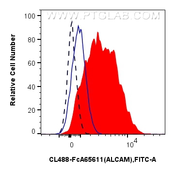 FC experiment of human PBMCs using CL488-FcA65611 FC experiment of human PBMCs using CL488-FcA65611