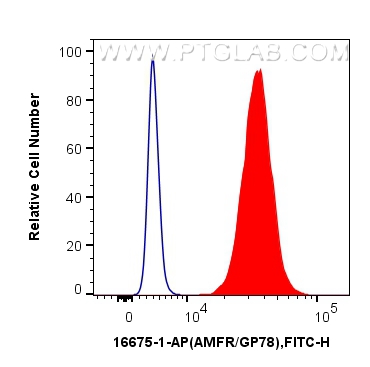 FC experiment of HepG2 using 16675-1-AP