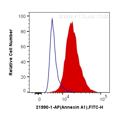 FC experiment of NIH/3T3 using 21990-1-AP