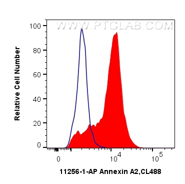 FC experiment of K-562 using 11256-1-AP