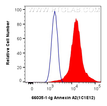 FC experiment of HeLa using 66035-1-Ig