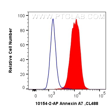 FC experiment of SH-SY5Y using 10154-2-AP