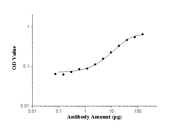 ELISA experiment of peptide using 24493-1-AP