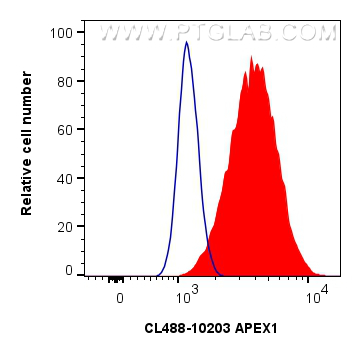 FC experiment of HeLa using CL488-10203