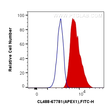 FC experiment of NIH/3T3 using CL488-67781