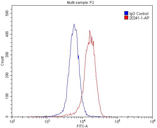 FC experiment of SH-SY5Y using 20341-1-AP