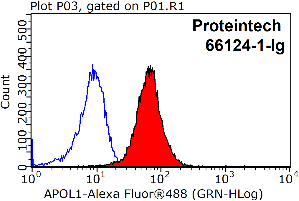 APOL1-Specific
