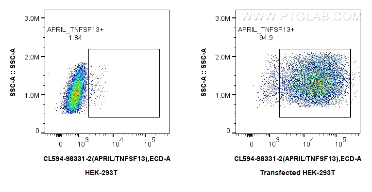 FC experiment of Transfected HEK-293T using CL594-98331-2 FC experiment of Transfected HEK-293T using CL594-98331-2