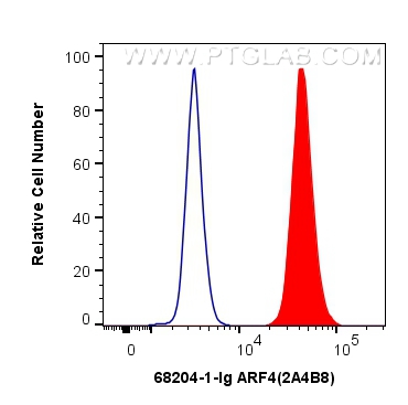 FC experiment of K-562 using 68204-1-Ig