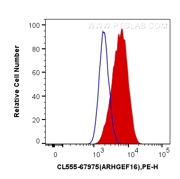 FC experiment of HeLa using CL555-67975