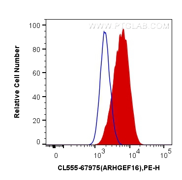 ARHGEF16