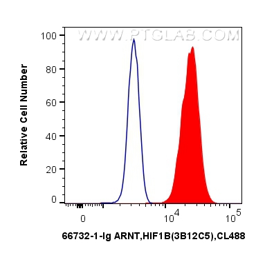 FC experiment of HeLa using 66732-1-Ig