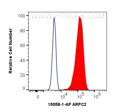 FC experiment of HeLa using 15058-1-AP