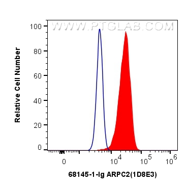 FC experiment of HeLa using 68145-1-Ig