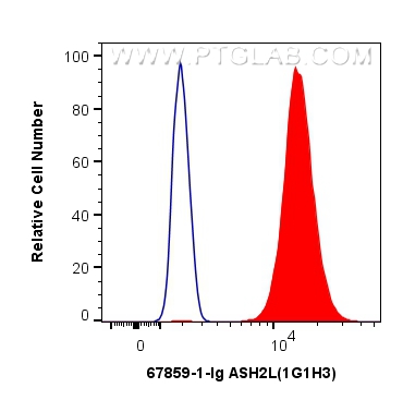FC experiment of HeLa using 67859-1-Ig