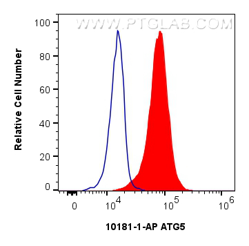 FC experiment of HepG2 using 10181-2-AP