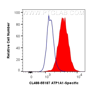 FC experiment of HEK-293 using CL488-55187