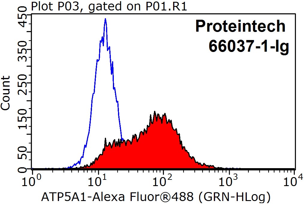 FC experiment of HeLa using 66037-1-Ig (same clone as 66037-1-PBS)