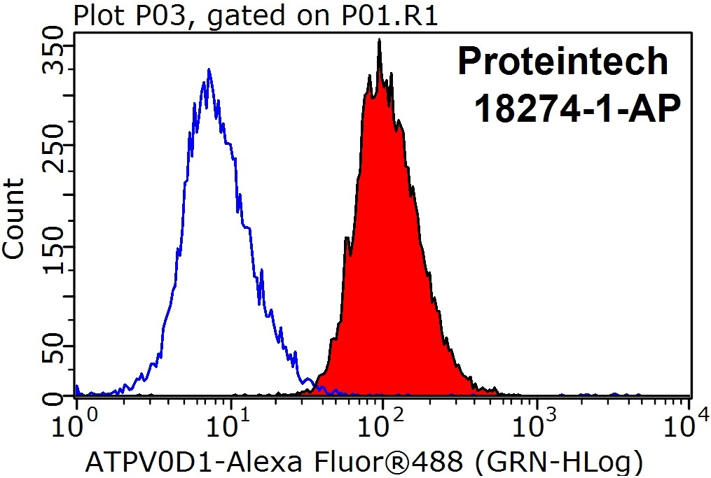 FC experiment of HeLa using 18274-1-AP