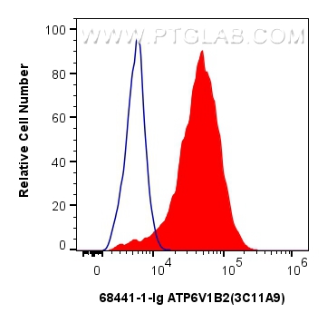 FC experiment of HeLa using 68441-1-Ig (same clone as 68441-1-PBS)