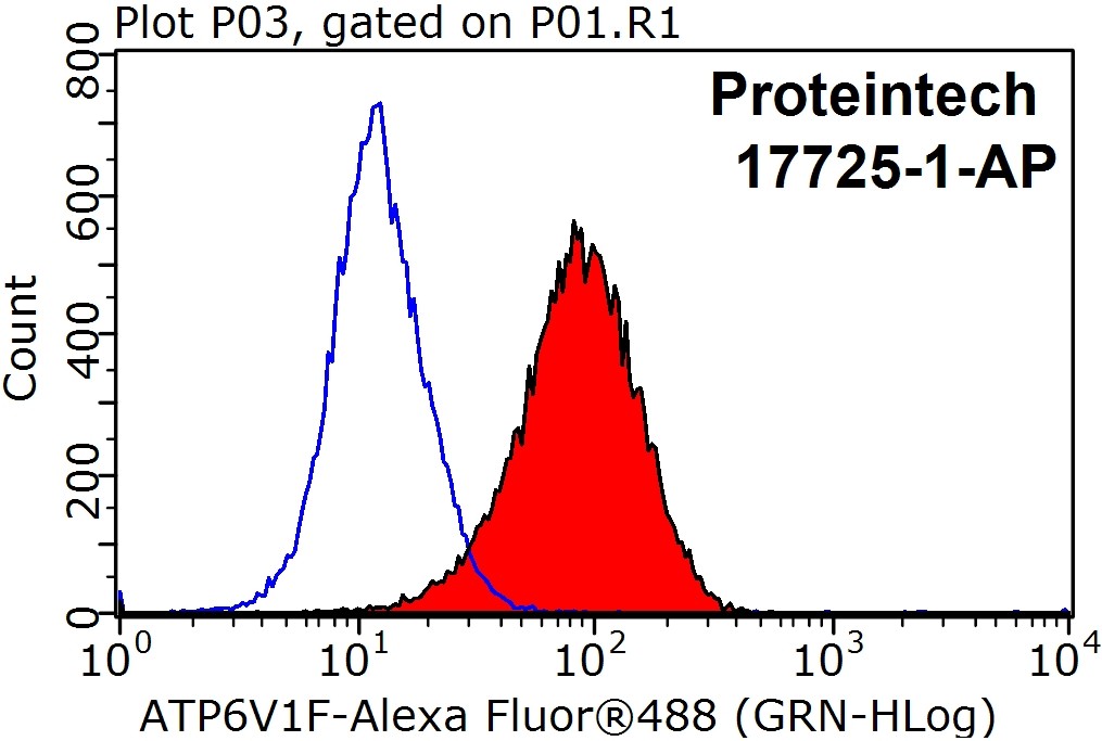 FC experiment of MCF-7 using 17725-1-AP