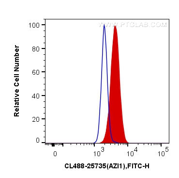 FC experiment of HeLa using CL488-25735