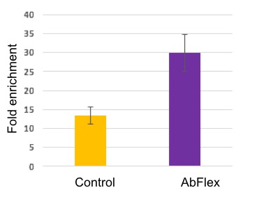 AbFlex Ago1/2/3 antibody (rAb) tested antibody tested by immunoprecipitation. Active Motif miRNA IP Kit (Cat. No. 25500) was used with 293 cells (10 million cells per IP). Following IP using AbFlex Ago1/2/3 antibody (5 ug per IP) or a negative control IgG, qRT-PCR was performed on samples using primers for IGF2. Fold enrichment over the negative control IgG shows successful specific IP of IGF2 miRNA associated with the RISC complex.
